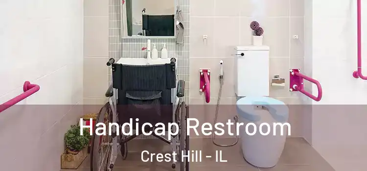 Handicap Restroom Crest Hill - IL