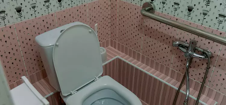 Meeting Diverse Needs With Accessible Restroom Solutions in Crest Hill, IL